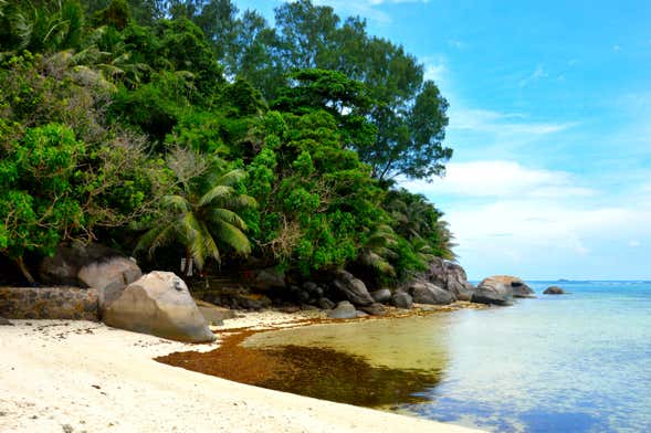 Excursão à ilha Moyenne + Snorkel e almoço no restaurante Jolly Roger