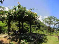 Vistas do Jardim Du Roi